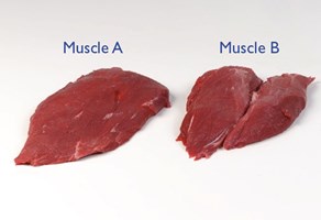 Thick Flank – seam cut - Mini Joints ‘Centre Cut’ Meat Cut Spec Step 4